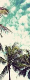 Vintage Style Palm Trees Wall Art