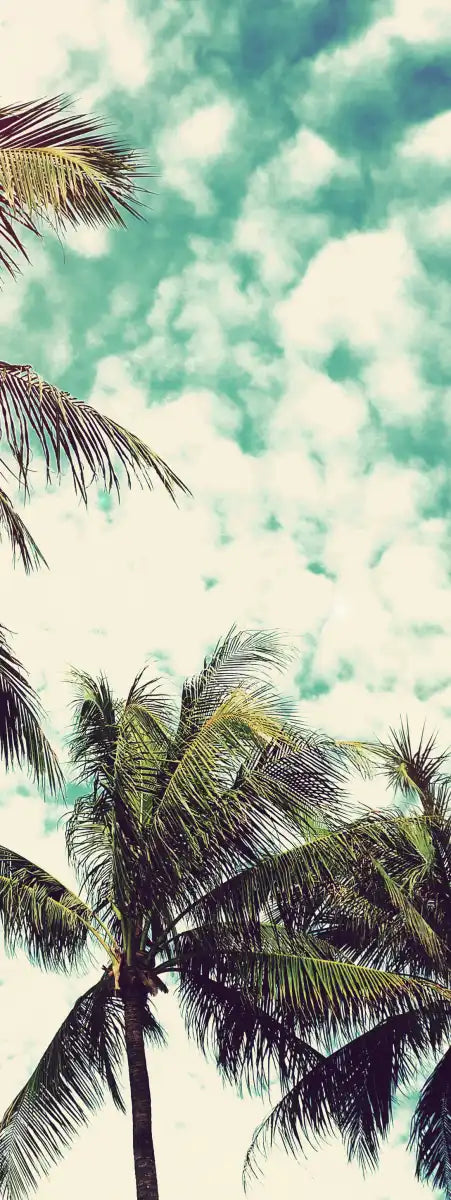 Vintage Style Palm Trees Wall Art