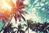Vintage Style Palm Trees Wall Art