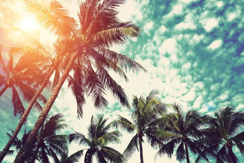 Vintage Style Palm Trees Wall Art