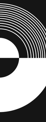 Vinyl Abstract Wall Art