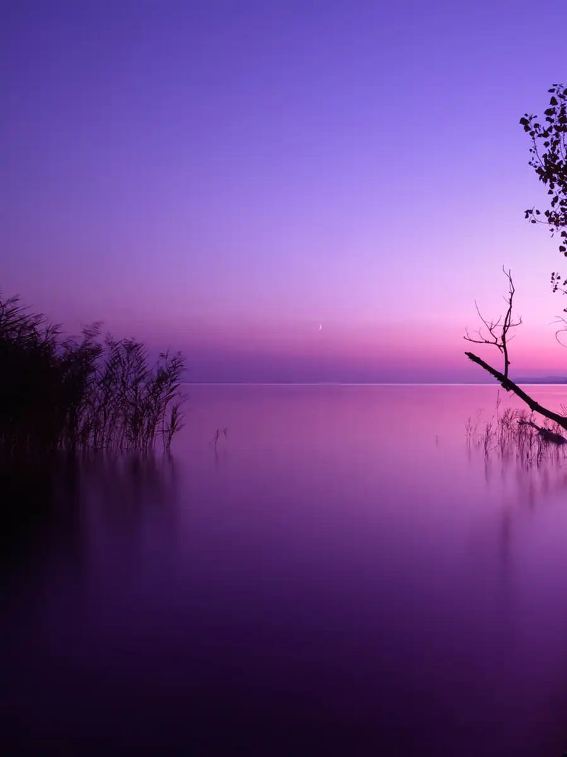 Violet Toned Lake Wall Art