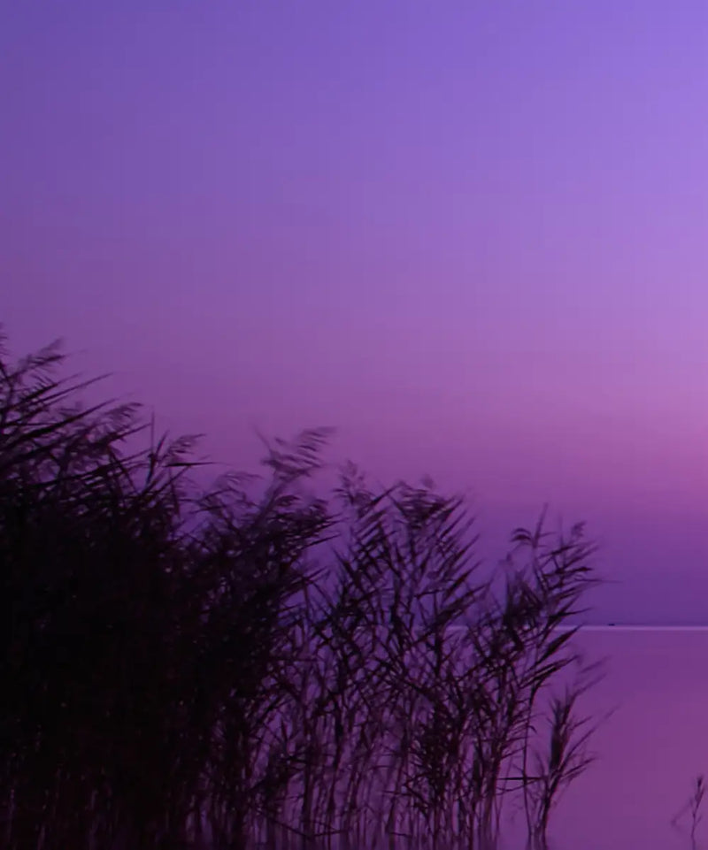 Violet Toned Lake Wall Art