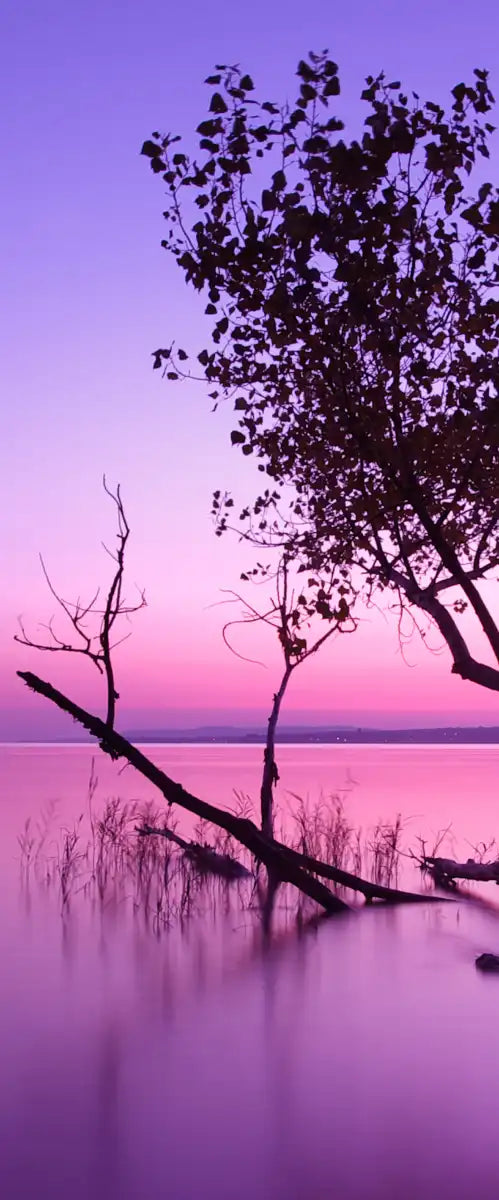 Violet Toned Lake Wall Art