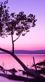 Violet Toned Lake Wall Art