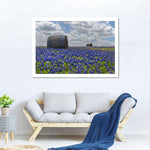 Texas Bluebonnets Wall Art