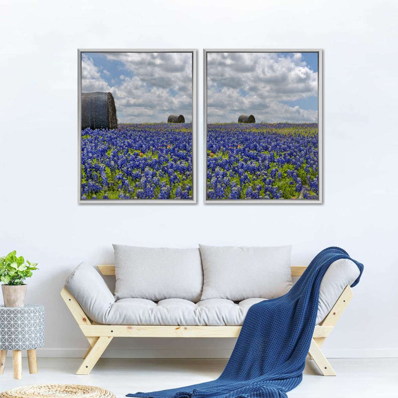 Texas Bluebonnets Wall Art