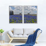 Texas Bluebonnets Wall Art