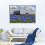 Texas Bluebonnets Wall Art