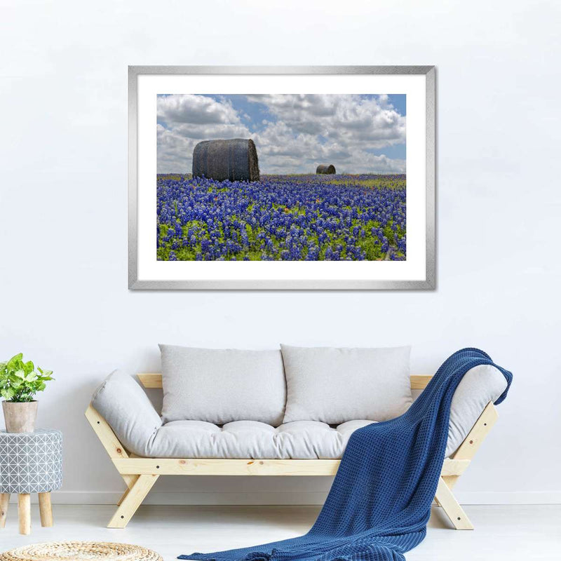 Texas Bluebonnets Wall Art