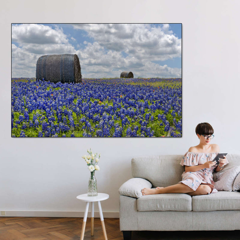 Texas Bluebonnets Wall Art