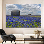 Texas Bluebonnets Wall Art