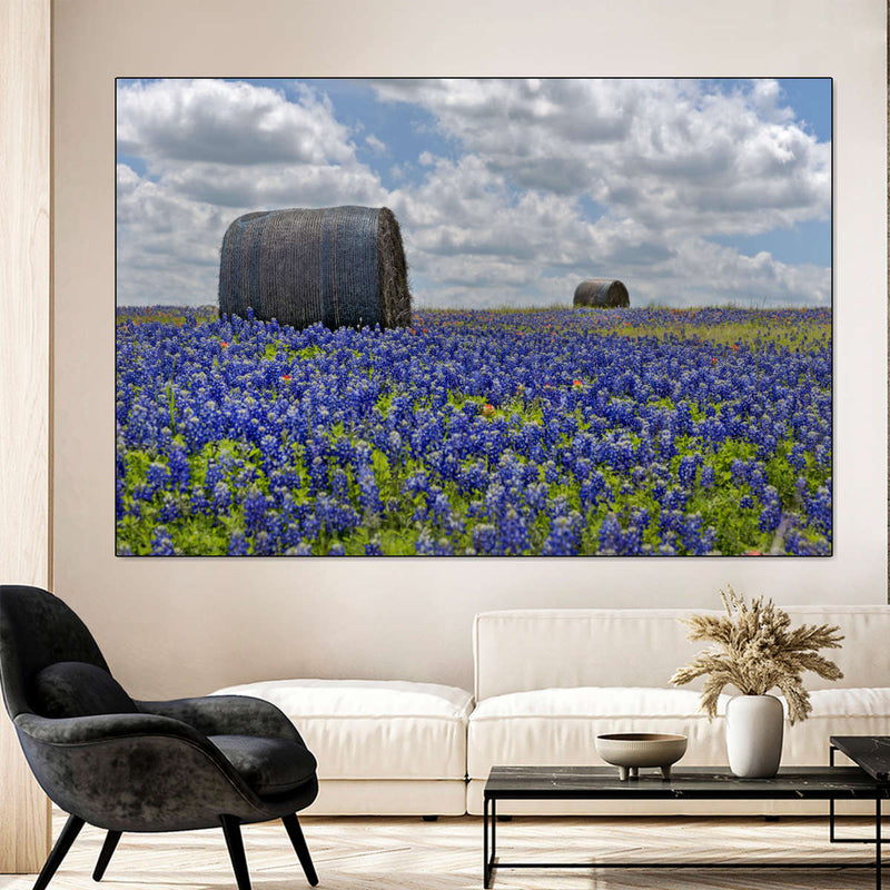 Texas Bluebonnets Wall Art