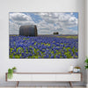 Texas Bluebonnets Wall Art