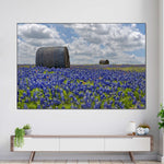 Texas Bluebonnets Wall Art
