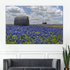 Texas Bluebonnets Wall Art