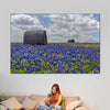 Texas Bluebonnets Wall Art