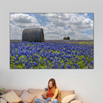 Texas Bluebonnets Wall Art