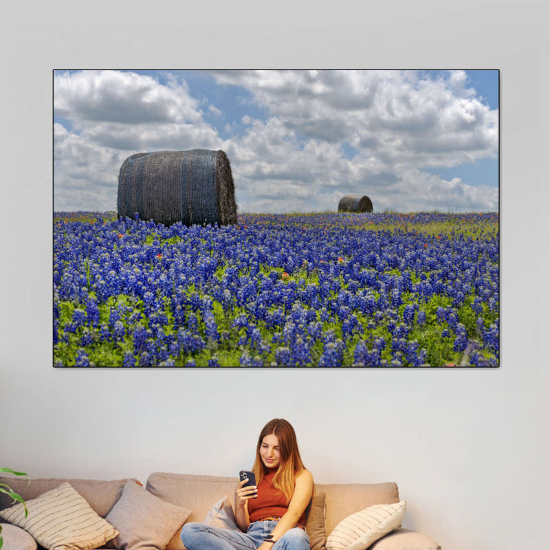 Texas Bluebonnets Wall Art