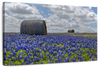 Texas Bluebonnets Wall Art