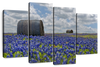 Texas Bluebonnets Wall Art