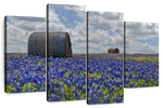 Texas Bluebonnets Wall Art