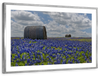 Texas Bluebonnets Wall Art
