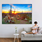 Sonoran Desert Sunset Landscape Wall Art