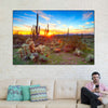 Sonoran Desert Sunset Landscape Wall Art