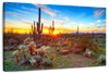 Sonoran Desert Sunset Landscape Wall Art