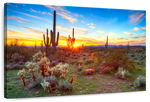 Sonoran Desert Sunset Landscape Wall Art