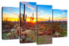 Sonoran Desert Sunset Landscape Wall Art
