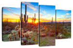 Sonoran Desert Sunset Landscape Wall Art