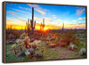 Sonoran Desert Sunset Landscape Wall Art