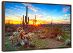 Sonoran Desert Sunset Landscape Wall Art