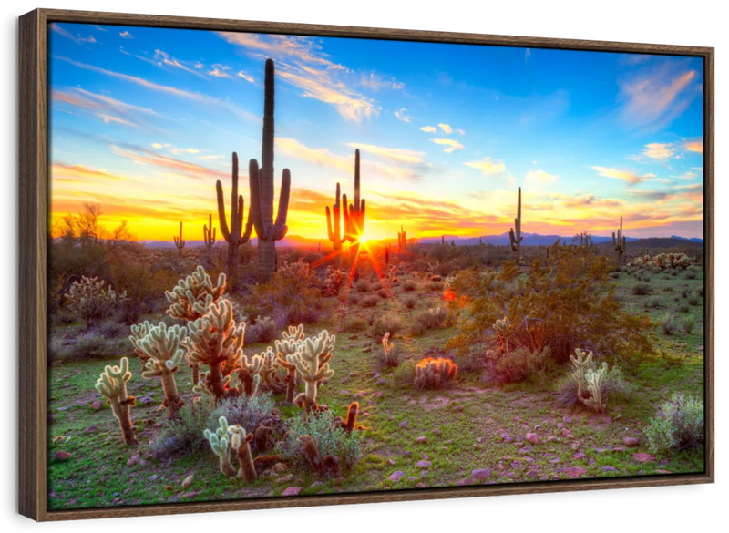 Sonoran Desert Sunset Landscape Wall Art