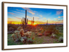 Sonoran Desert Sunset Landscape Wall Art