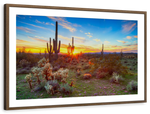 Sonoran Desert Sunset Landscape Wall Art