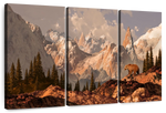 Rocky Mountain Bear Wall Art