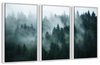Misty Fir Forest Wall Art