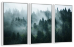 Misty Fir Forest Wall Art