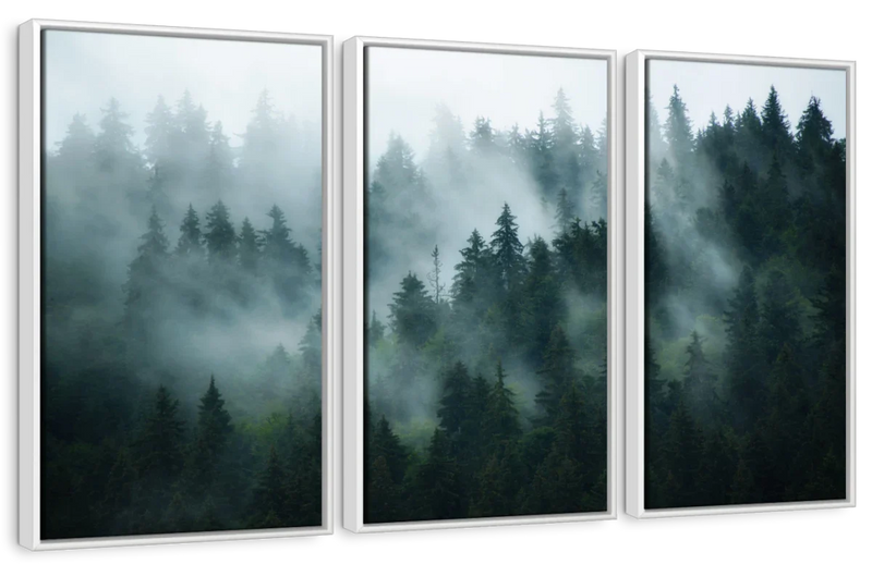 Misty Fir Forest Wall Art