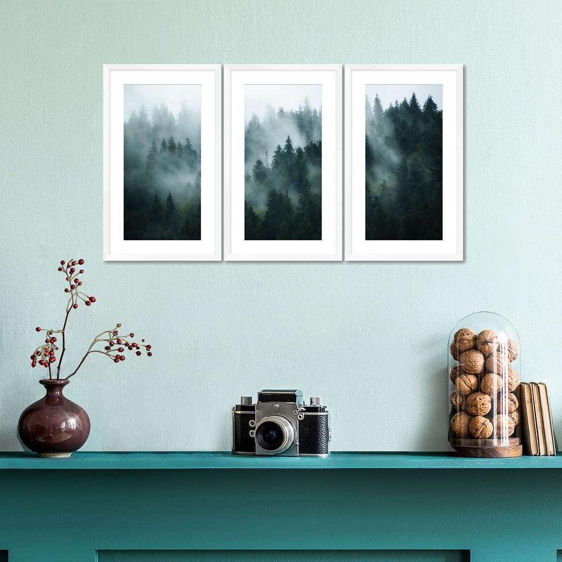 Misty Fir Forest Wall Art