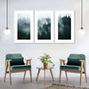 Misty Fir Forest Wall Art