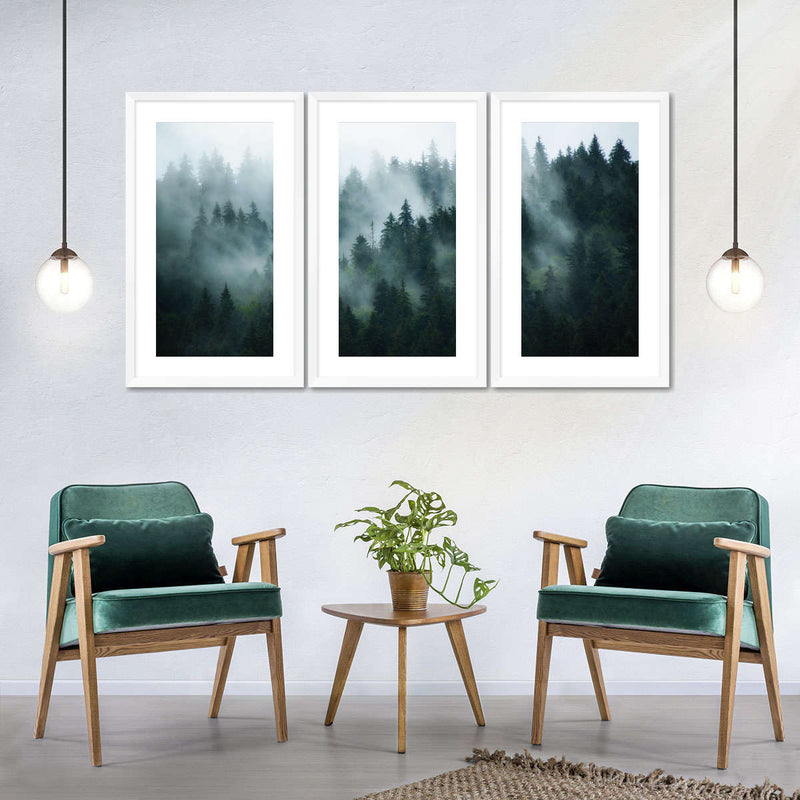 Misty Fir Forest Wall Art