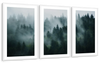 Misty Fir Forest Wall Art