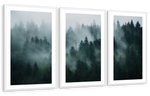 Misty Fir Forest Wall Art