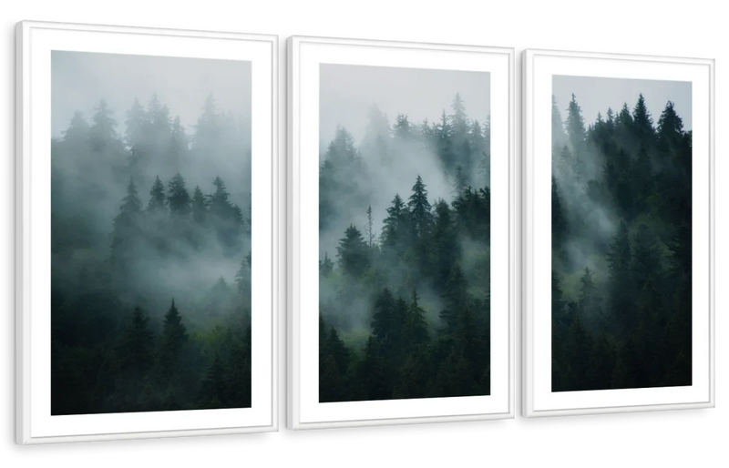 Misty Fir Forest Wall Art