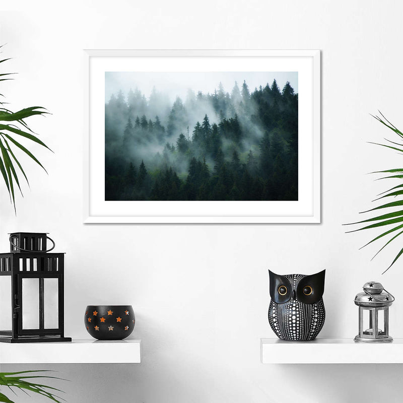 Misty Fir Forest Wall Art