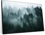 Misty Fir Forest Wall Art